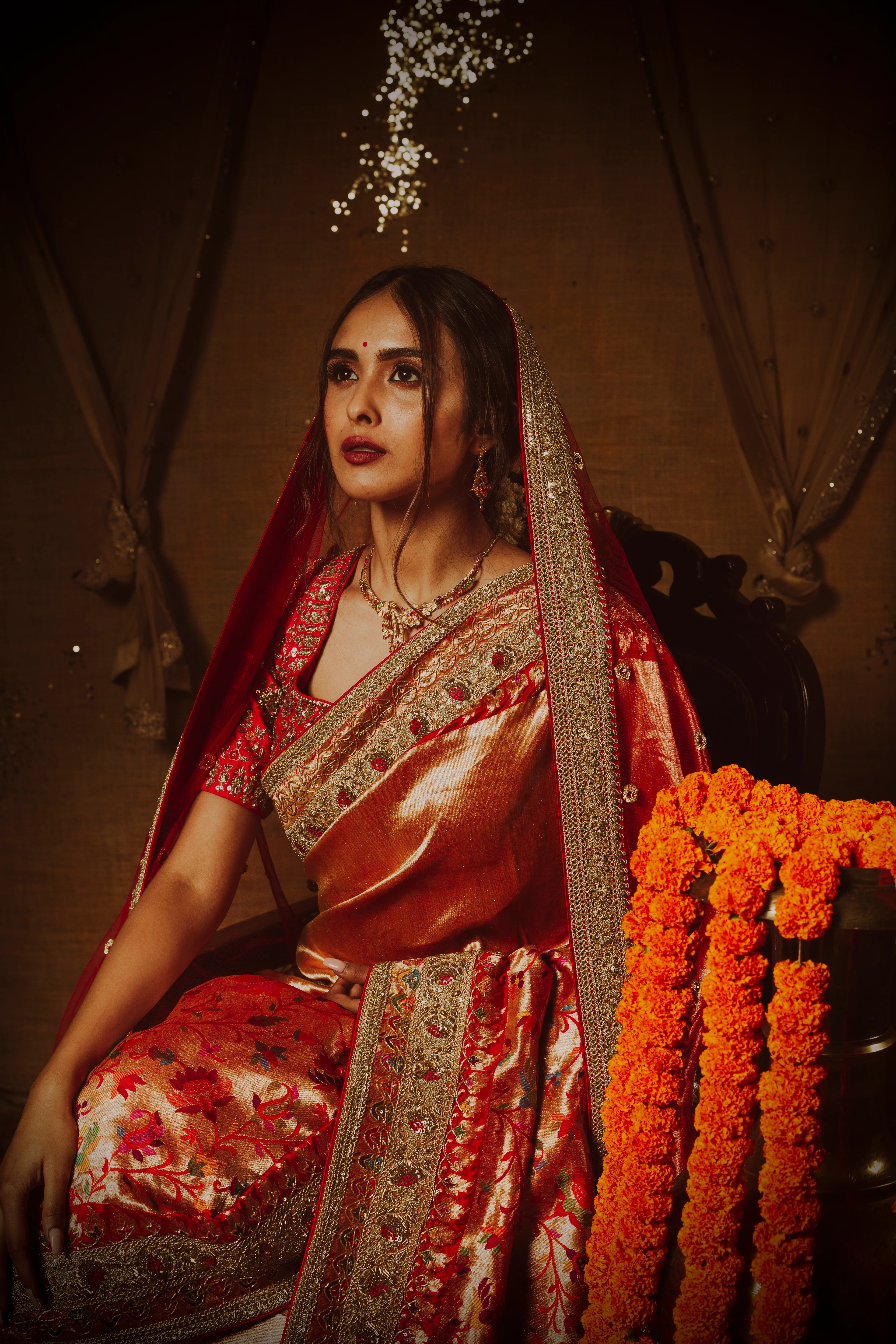 Royal Regalia Saree - Image 3